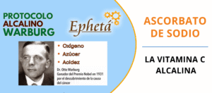 protocoloWarburg-300x132 (1)