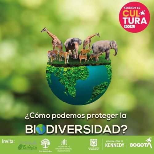 WhatsApp Image 2025-10-18 at 6.26.01 PM