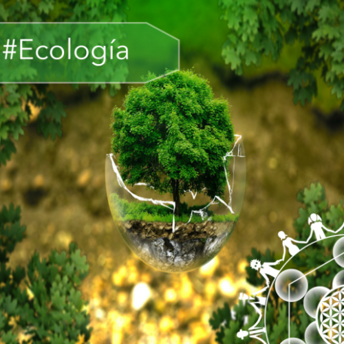 ecologia-post-e1553356493394-uai-516x516